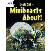 Rigby Star Independent Year 2 Non Fiction: Tiny Creatures
