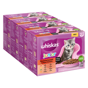 Ekonomicno pakiranje Whiskas Junior vrecice 96 x 100 g - Klasicni izbor u umaku