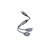 INF Adapter Type-C na dvojni USB 2.0 Grey, (21537674)