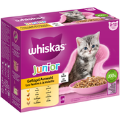 Mega pakiranje Whiskas Junior vrečke 24 x 85 g - Perutninski izbor v želeju