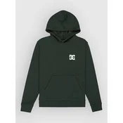 DC Pushing Forward Kids Hoodie deep forest