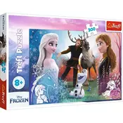 TREFL Puzzle Frozne II Magicni trenuci - 300 delova