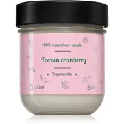 Tropicandle Frozen Cranberry dišeča sveča 170 ml