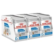 Royal Canin Light Weight Care Dog Loaf dietna vrečka s pašteto za pse 36 x 85 g