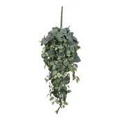 Dekordom Cvet pilea 70cm 953440 - green - edl ( 040420 )