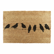 Predpražnik iz kokosovih vlaken 40x60 cm Birds On a Wire – Artsy Doormats