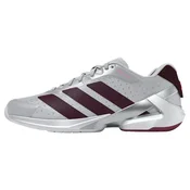 Moška dvoranska obutev adidas Counterblast Indoor Performance Shoes Silver Met. EUR 45 1/3