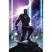 BLACK PANTHER INTERGALACTIC EMPIRE OF WA