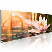 Slika - Beautiful Lotus 135x45