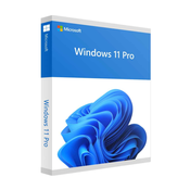 Microsoft Windows 11 Pro operacijski sistem, DSP/OEM, ANG, DVD