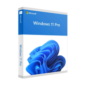 MICROSOFT Windows 11 Pro 64bit Eng Intl OEM (FQC-10528)