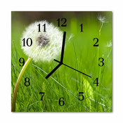 tulup.si Steklena kvadratna ura Dandelion 30x30 cm