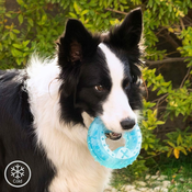 InnovaGoods 2-in-1 Freezable Pet Chew Toy Glubiz InnovaGoods