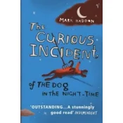 The Curious Incident of the Dog in the Night-time