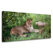 shumee Platno s tiskom Živali Levinje 80x40 cm