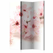 Paravan u 3 dijela - Cherry Blossom [Room Dividers] 135x172