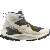 Salomon ELIXIR MID GTX, muške cipele za planinarenje, bež L47296000
