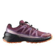 Salomon Speedcross Peak GTX