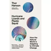 Hurricane Lizards and Plastic Squid