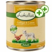 Ekonomično pakiranje Lukullus 24 x 800 g - Losos s piletinom, prosom, timijanom i maslinovim uljem
