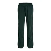 Jack & Jones Junior Hlače JJIGORDON jelka
