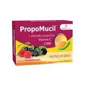 PropoMucil pastile za grlo šumsko voce 24 pastile