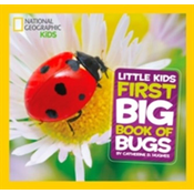 Little Kids First Big Book of Bugs