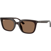 Ray-Ban RB4439D 623173