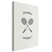 shumee Slika - Črni badmintonski loparji