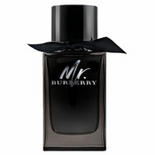 Burberry Mr. Burberry parfémovaná voda za muškarce 150 ml