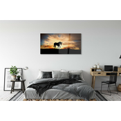 tulup.si Slika na akrilnem steklu Unicorn sunset 125x50 cm 4 obešalnika
