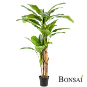 Umetni bananovec 200 cm - 181-210