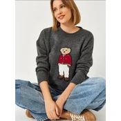 Bianco Lucci Pulover Pullover temno siva