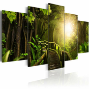 Slika - Magical Jungle 100x50