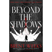 Beyond The Shadows
