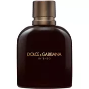 DOLCE & GABBANA moška parfumska voda Pour Homme Intenso 125ml