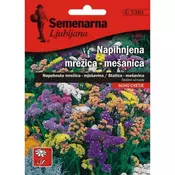 5381 Statika Mix