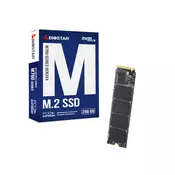 BIOSTAR SSD M.2 NVME 256GB Biostar 2800MBs/1700MBs M760