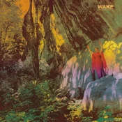 Wake - Thought Form Descent (Limited Edition) (LP)