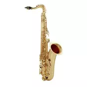 Yamaha YTS 480 Tenor Saksofon