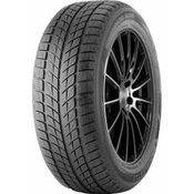 Double Star DW09 ( 225/45 R18 95T XL )
