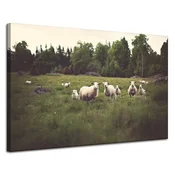 shumee Platno Narava Ovce na paši 120x80