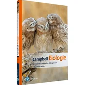 Campbell Biologie Gymnasiale Oberstufe. Das Übungsbuch
