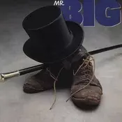 Mr Big - Mr Big (LP)