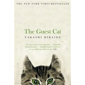 Guest Cat
