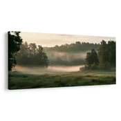 Slika jutranja meglica med drevesi - 200x100