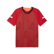 PUMA individualFINAL Football Jersey Men, Sport, Glowing Red/Mint Jelly/Black, M
