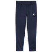 Hlače Puma teamGOAL Training Pant