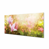 tulup.si Slika na akrilnem steklu Magnolia drevo sonce 125x50 cm 2 obešalnika