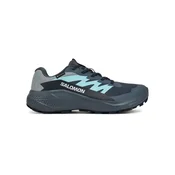 Salomon Alphaglide GTX